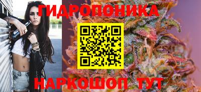 крисы Можайск