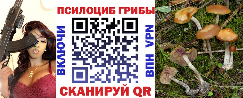 hydra рабочий сайт  Топки  Галлюциногенные грибы MAGIC MUSHROOMS 
